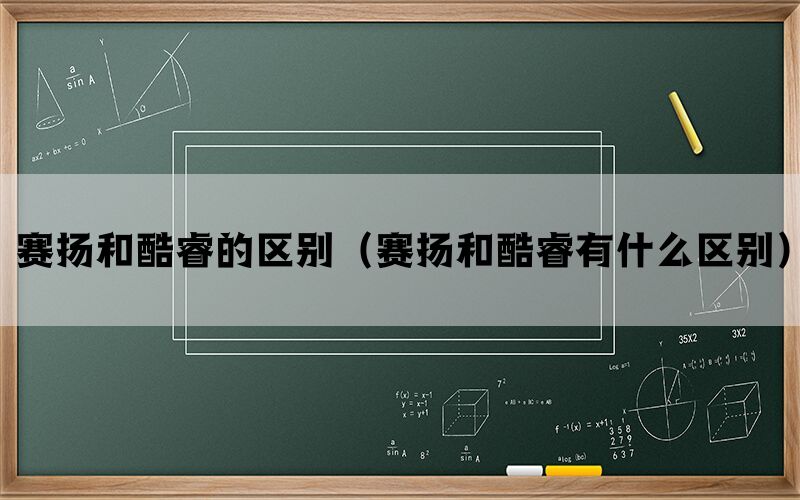 赛扬和酷睿的区别（赛扬和酷睿有什么区别）