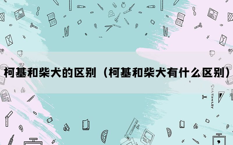 柯基和柴犬的区别（柯基和柴犬有什么区别）