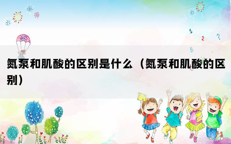 氮泵和肌酸的区别是什么（氮泵和肌酸的区别）