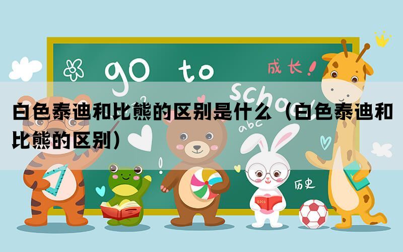 白色泰迪和比熊的区别是什么（白色泰迪和比熊的区别）