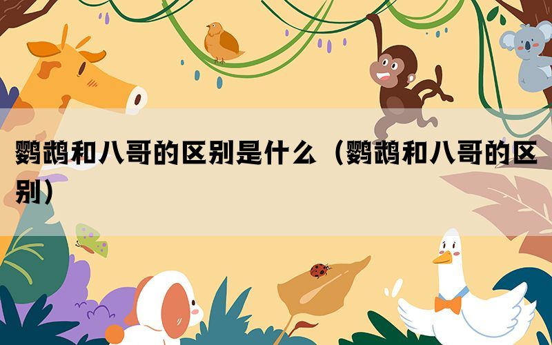 鹦鹉和八哥的区别是什么（鹦鹉和八哥的区别）