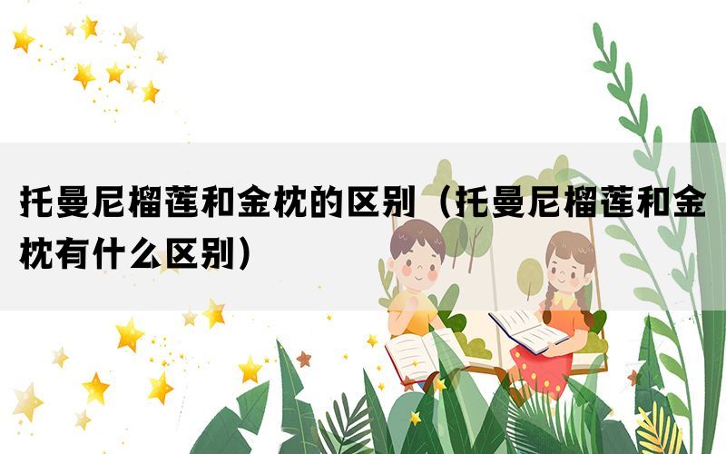 托曼尼榴莲和金枕的区别（托曼尼榴莲和金枕有什么区别）
