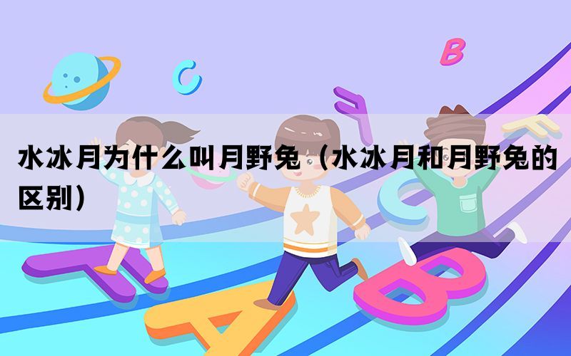 水冰月为什么叫月野兔（水冰月和月野兔的区别）