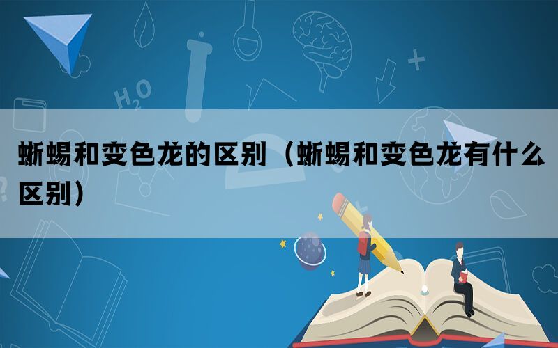 蜥蜴和变色龙的区别（蜥蜴和变色龙有什么区别）