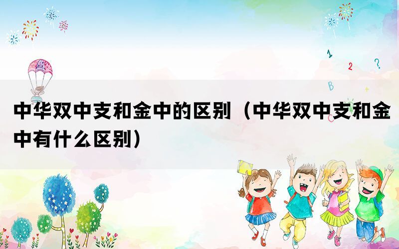 中华双中支和金中的区别（中华双中支和金中有什么区别）(图1)