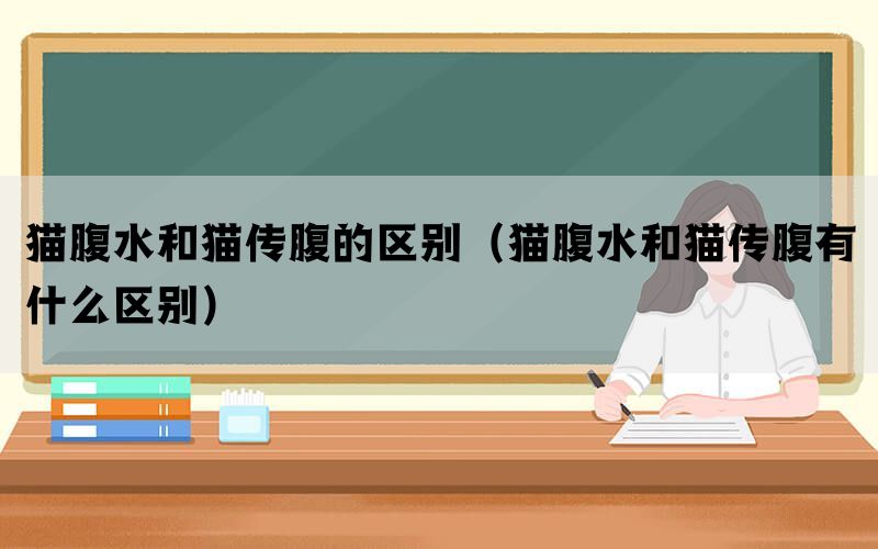 猫腹水和猫传腹的区别（猫腹水和猫传腹有什么区别）(图1)