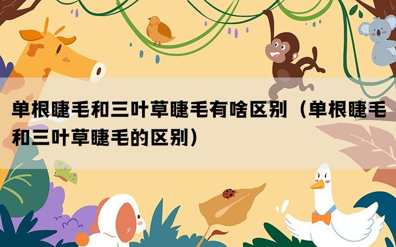 单根睫毛和三叶草睫毛有啥区别（单根睫毛和三叶草睫毛的区别）(图1)