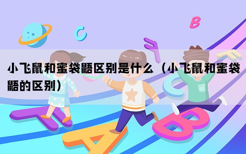 小飞鼠和蜜袋鼯区别是什么（小飞鼠和蜜袋鼯的区别）(图1)