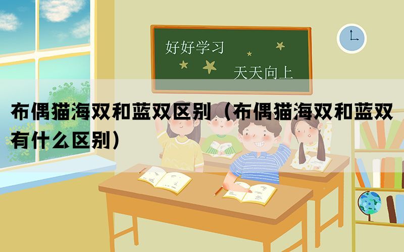 布偶猫海双和蓝双区别（布偶猫海双和蓝双有什么区别）