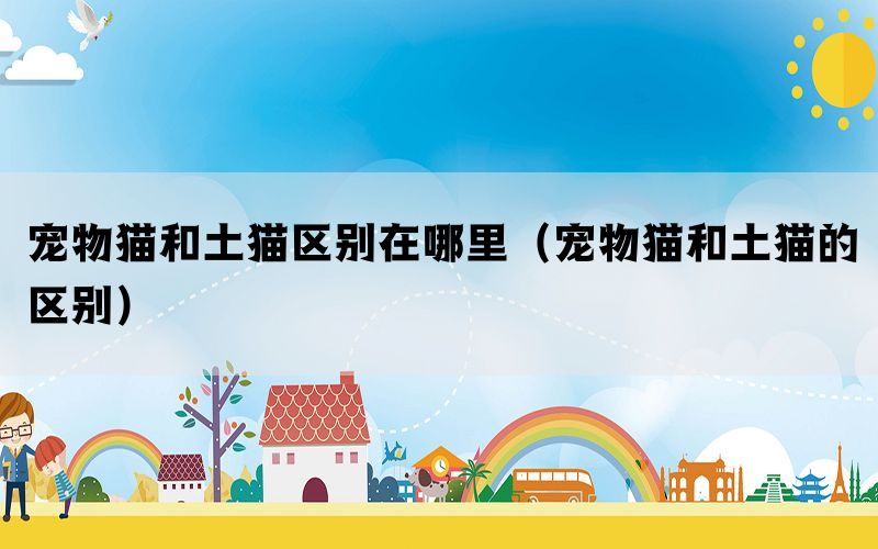 宠物猫和土猫区别在哪里(宠物猫和土猫的区别) 宠物猫和土猫区别在哪里(宠物猫和土猫的区别)
