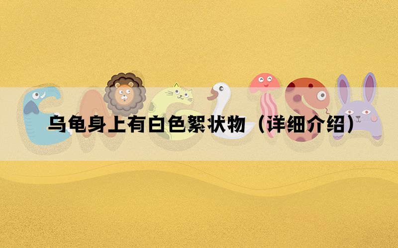 乌龟身上有白色絮状物（详细介绍）(图1)