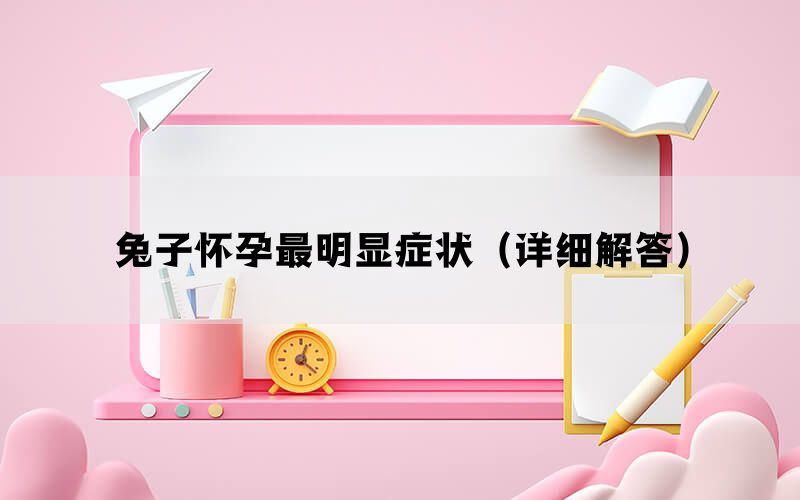兔子怀孕最明显症状（详细解答）(图1)