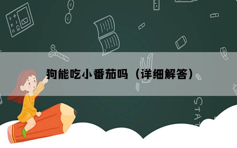 狗能吃小番茄吗（详细解答）(图1)
