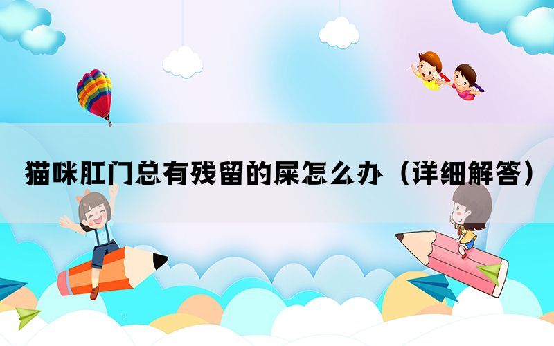 猫咪肛门总有残留的屎怎么办（详细解答）(图1)