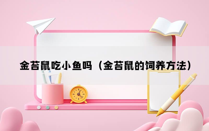 金苔鼠吃小鱼吗（金苔鼠的饲养方法）