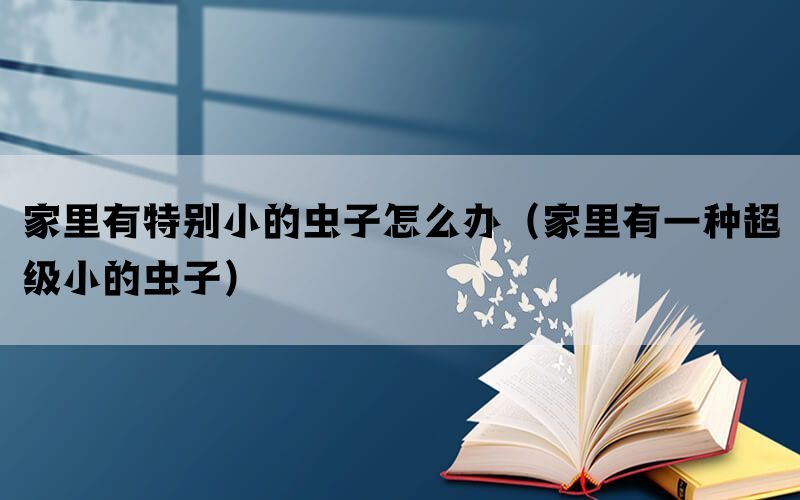 家里有特别小的虫子怎么办（家里有一种超级小的虫子）