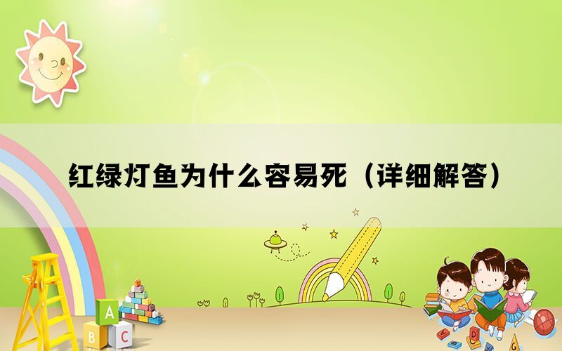 红绿灯鱼为什么容易死（详细解答）