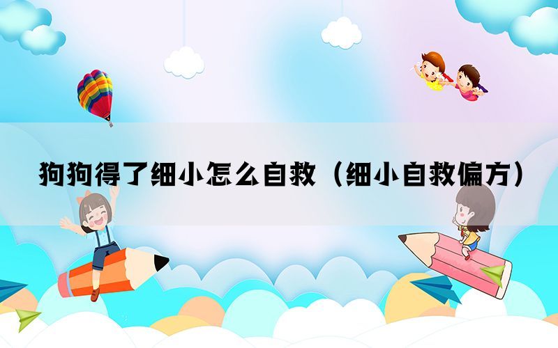 狗狗得了细小怎么自救（细小自救偏方）(图1)
