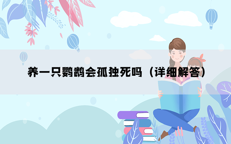 养一只鹦鹉会孤独死吗(详细解答) 养一只鹦鹉会孤独死吗(详细解答)