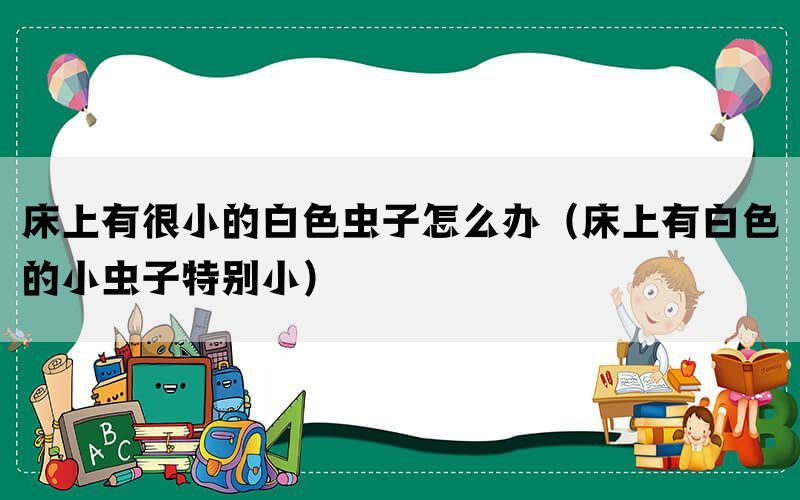 床上有很小的白色虫子怎么办（床上有白色的小虫子特别小）