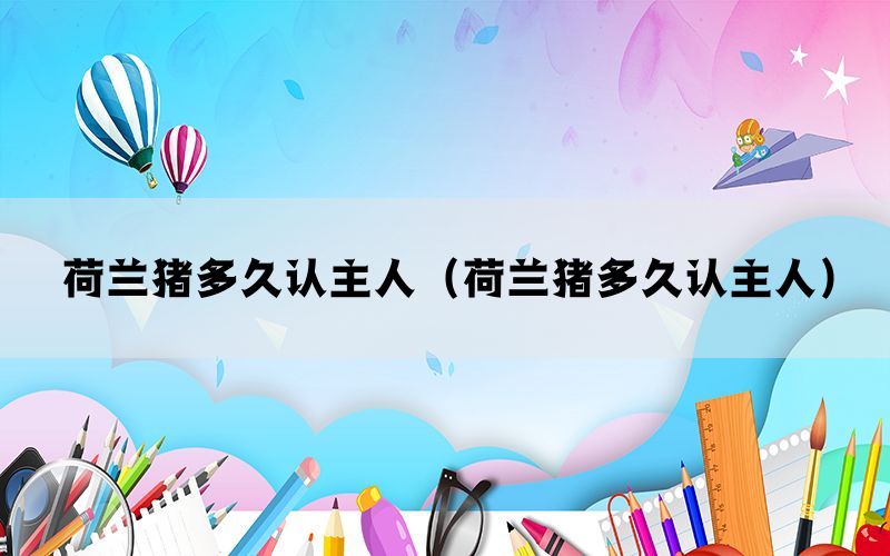 荷兰猪多久认主人（荷兰猪多久认主人）(图1)