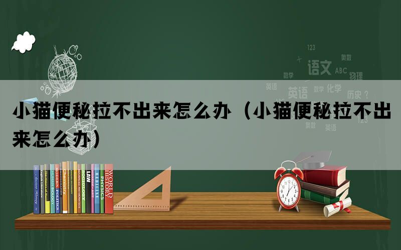 小猫便秘拉不出来怎么办（小猫便秘拉不出来怎么办）