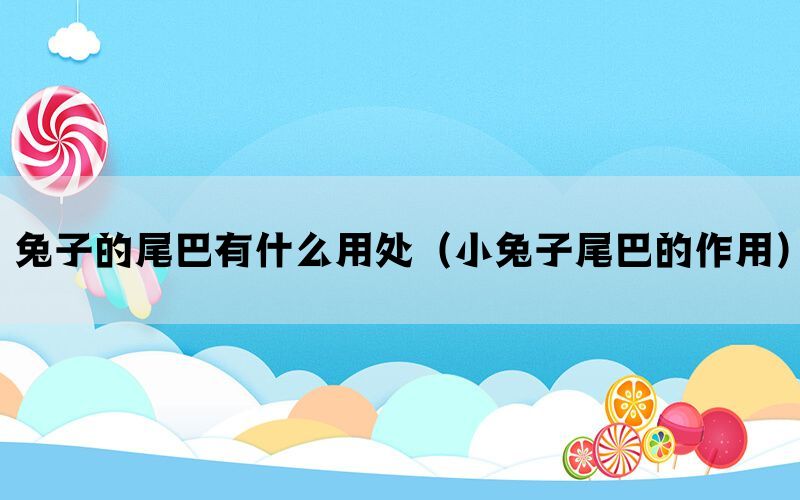 兔子的尾巴有什么用处（小兔子尾巴的作用）(图1)