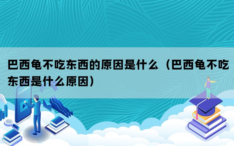 巴西龟不吃东西的原因是什么（巴西龟不吃东西是什么原因）(图1)