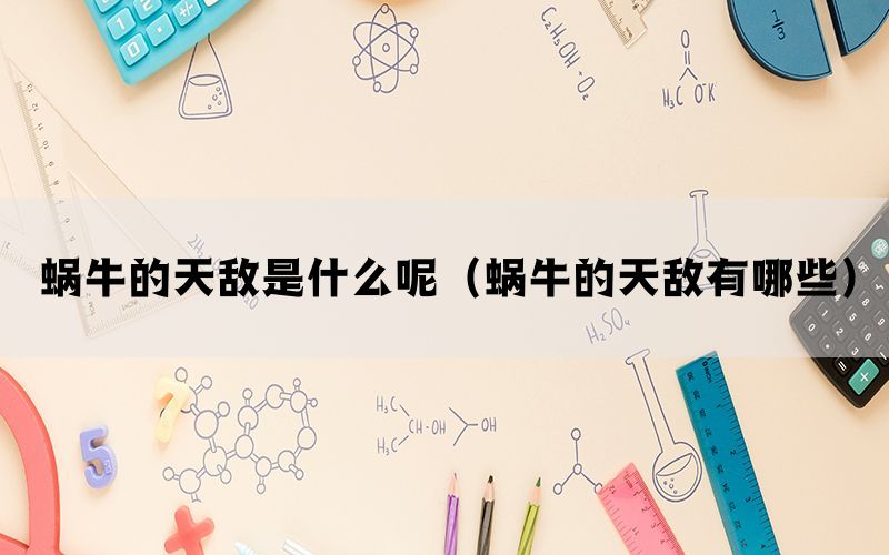 蜗牛的天敌是什么呢（蜗牛的天敌有哪些）(图1)
