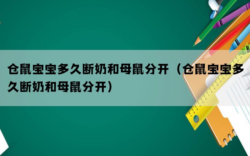 仓鼠宝宝多久断奶和母鼠分开（仓鼠宝宝多久断奶和母鼠分开）