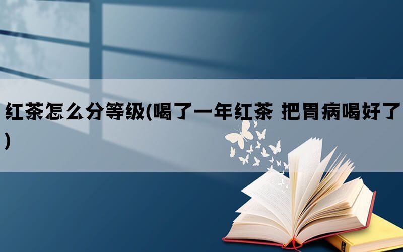 红茶怎么分等级(喝了一年红茶 把胃病喝好了)(图1)