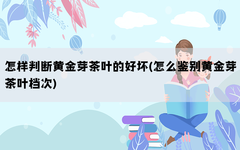 怎样判断黄金芽茶叶的好坏(怎么鉴别黄金芽茶叶档次)(图1)