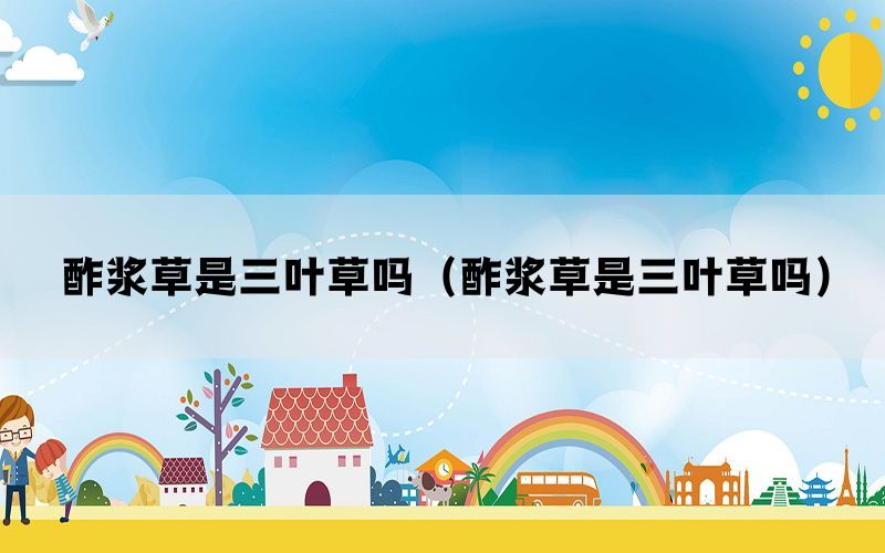 酢浆草是三叶草吗（酢浆草是三叶草吗）(图1)