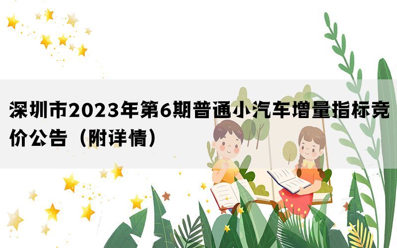 深圳市2023年第6期普通小汽车增量指标竞价公告（附详情）