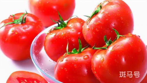 西红柿是番茄吗(为什么吃番茄会吃出西红柿的味道)