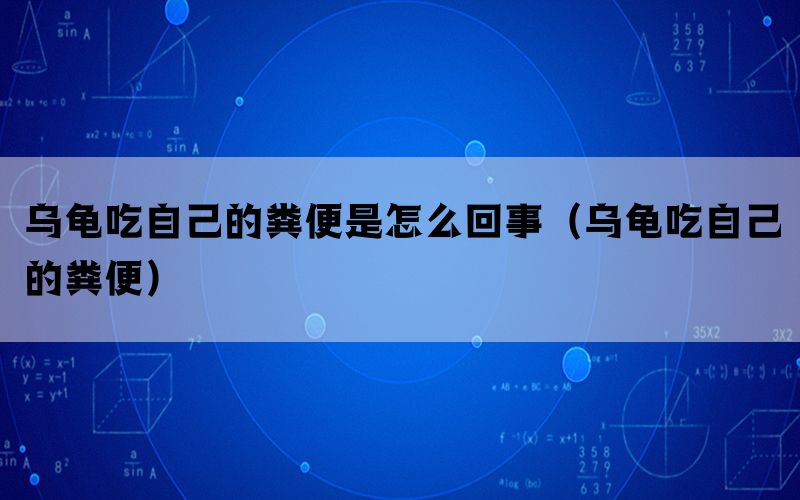 乌龟吃自己的粪便是怎么回事（乌龟吃自己的粪便）(图1)