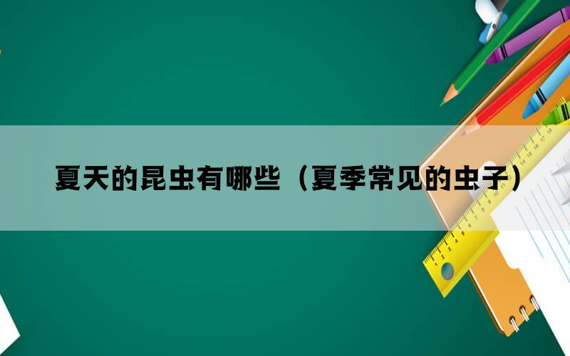 夏天的昆虫有哪些（夏季常见的虫子）(图1)