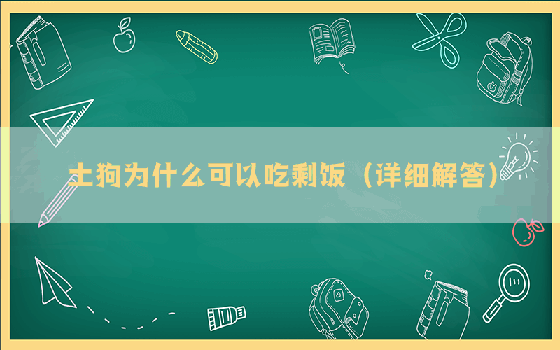 土狗为什么可以吃剩饭（详细解答）(图1)