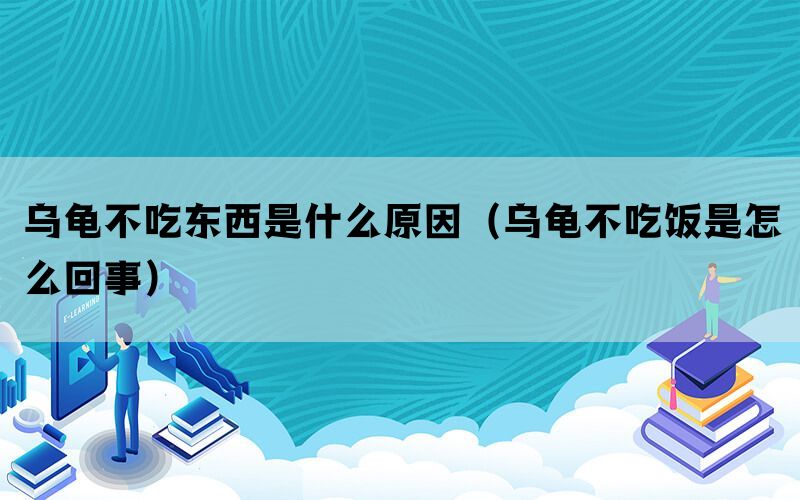 乌龟不吃东西是什么原因（乌龟不吃饭是怎么回事）