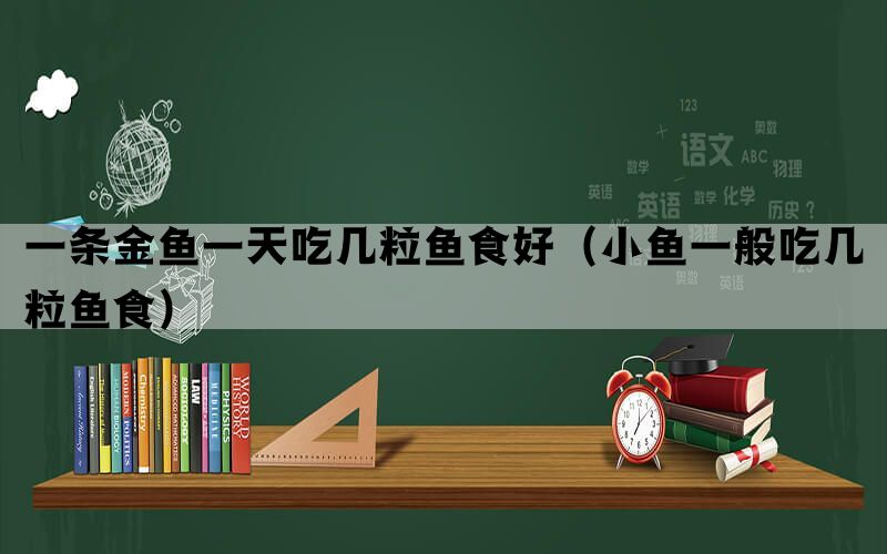 一条金鱼一天吃几粒鱼食好（小鱼一般吃几粒鱼食）(图1)