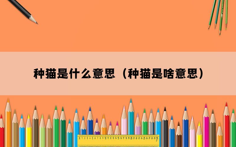 种猫是什么意思（种猫是啥意思）