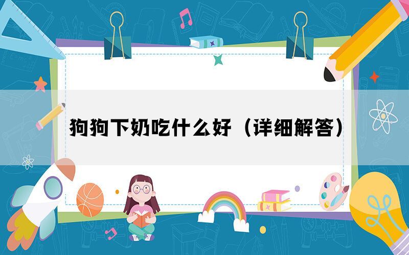 狗狗下奶吃什么好（详细解答）(图1)