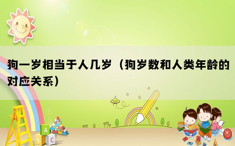 狗一岁相当于人几岁（狗岁数和人类年龄的对应关系）(图1)