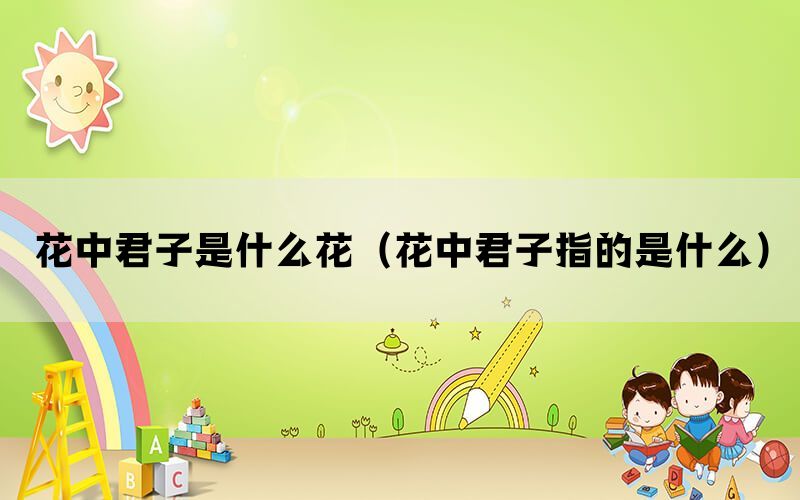花中君子是什么花（花中君子指的是什么）(图1)