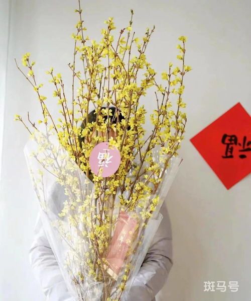 红色银柳是染色的吗(红色银柳是染色对人体有害吗)