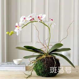 花店的花束怎么养更久(花店的花束怎么养更久做成干花)
