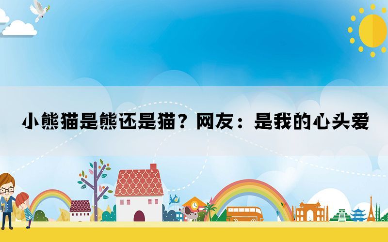 小熊猫是熊还是猫？网友：是我的心头爱(图1)