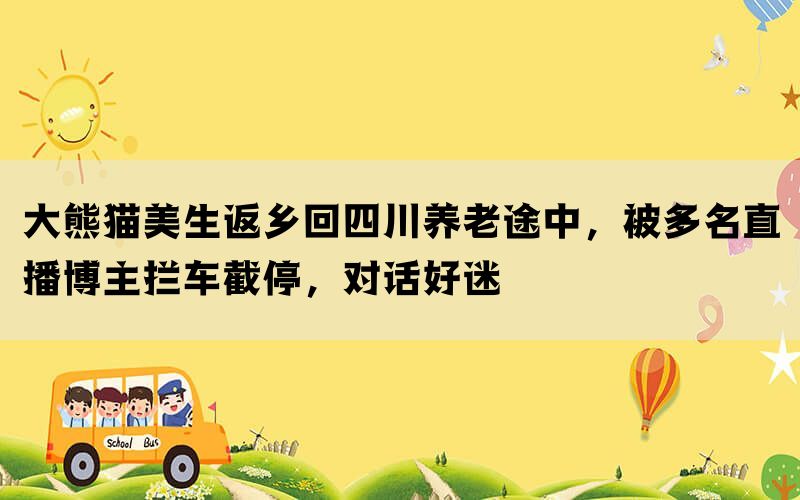 大熊猫美生返乡回四川养老途中，被多名直播博主拦车截停，对话好迷(图1)