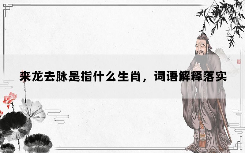 来龙去脉是指什么生肖，词语解释落实(图1)