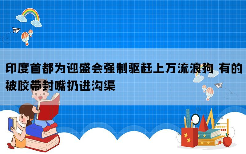 印度首都为迎盛会强制驱赶上万流浪狗 有的被胶带封嘴扔进沟渠(图1)